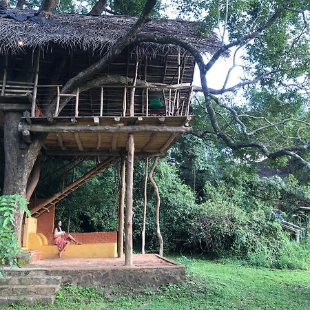 Back Of Beyond - Wild Haven Villa Sigiriya Bagian luar foto