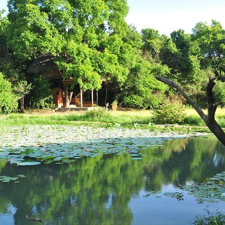 Back Of Beyond - Wild Haven Villa Sigiriya Bagian luar foto
