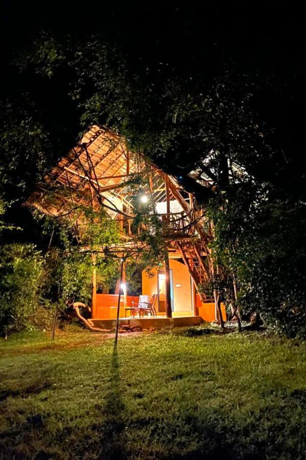 Back Of Beyond - Wild Haven Villa Sigiriya Bagian luar foto