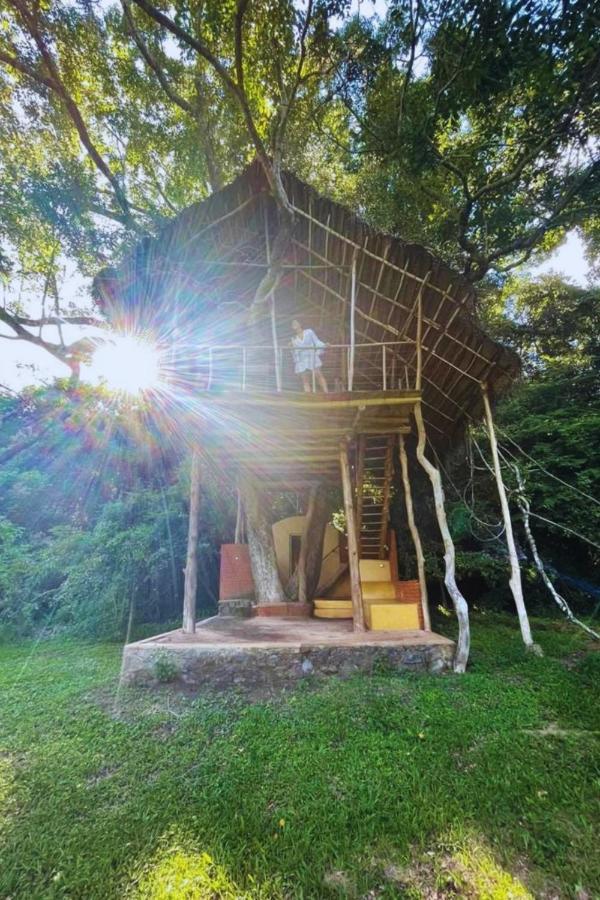 Back Of Beyond - Wild Haven Villa Sigiriya Bagian luar foto