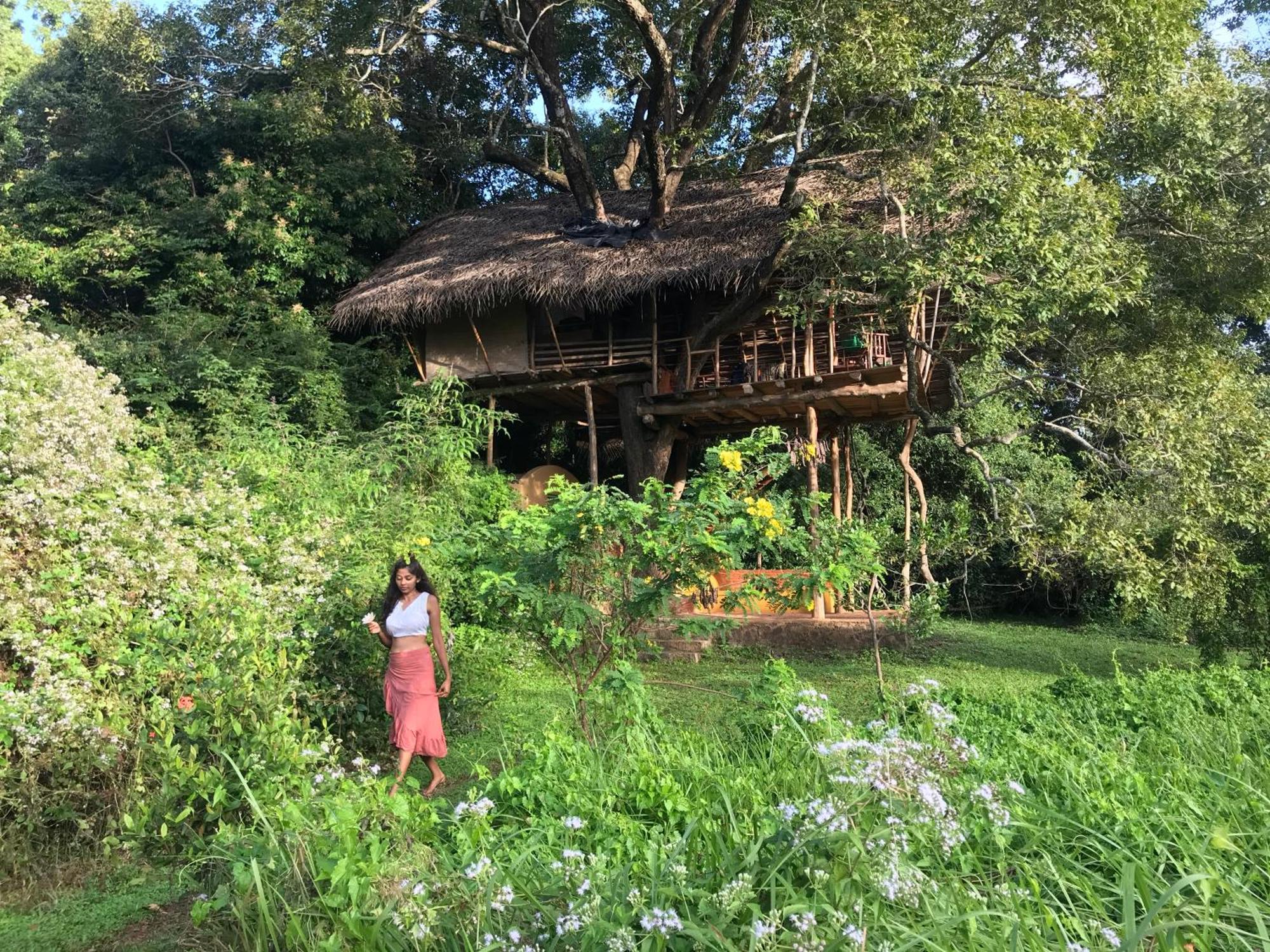 Back Of Beyond - Wild Haven Villa Sigiriya Bagian luar foto