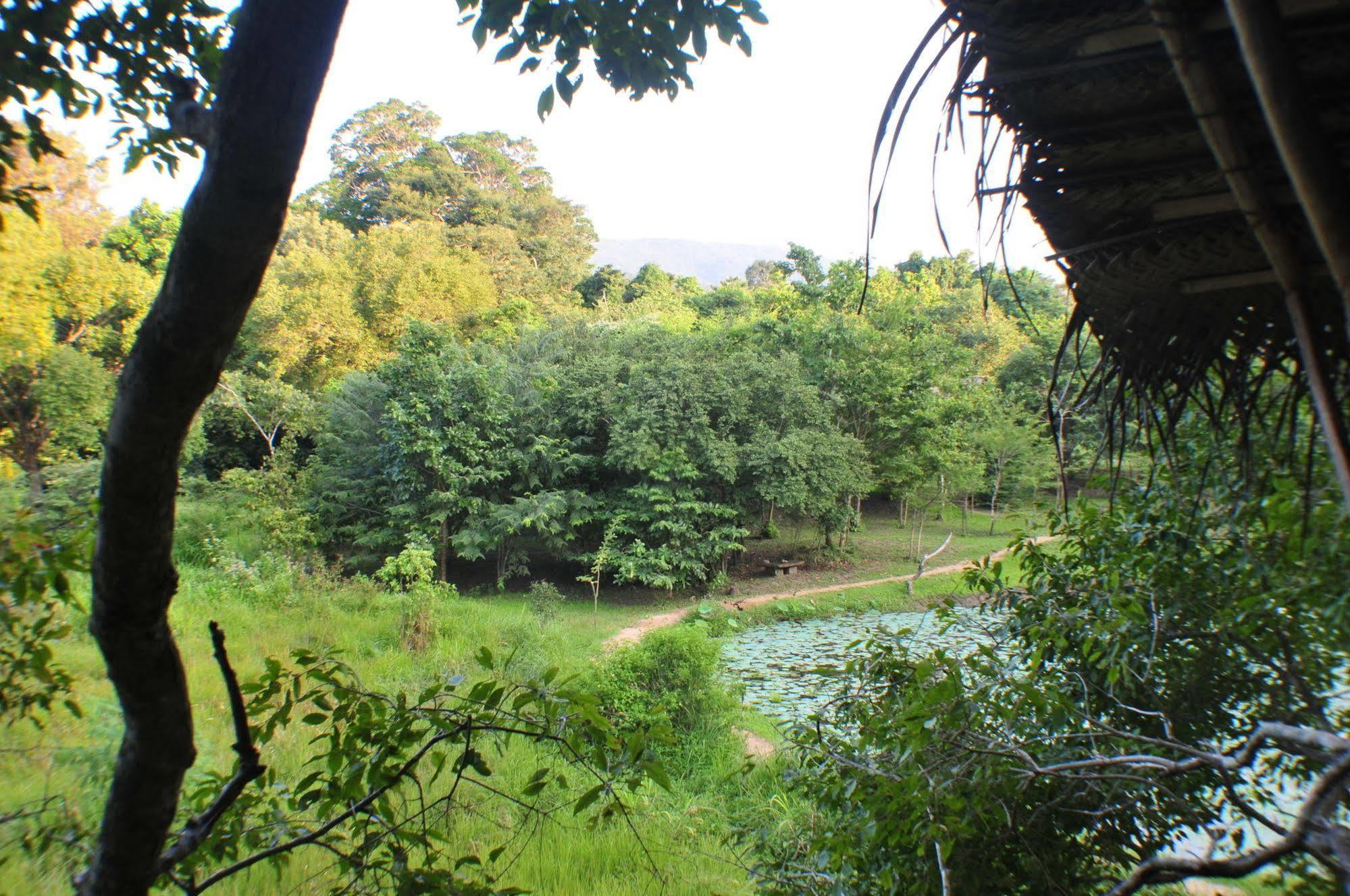 Back Of Beyond - Wild Haven Villa Sigiriya Bagian luar foto