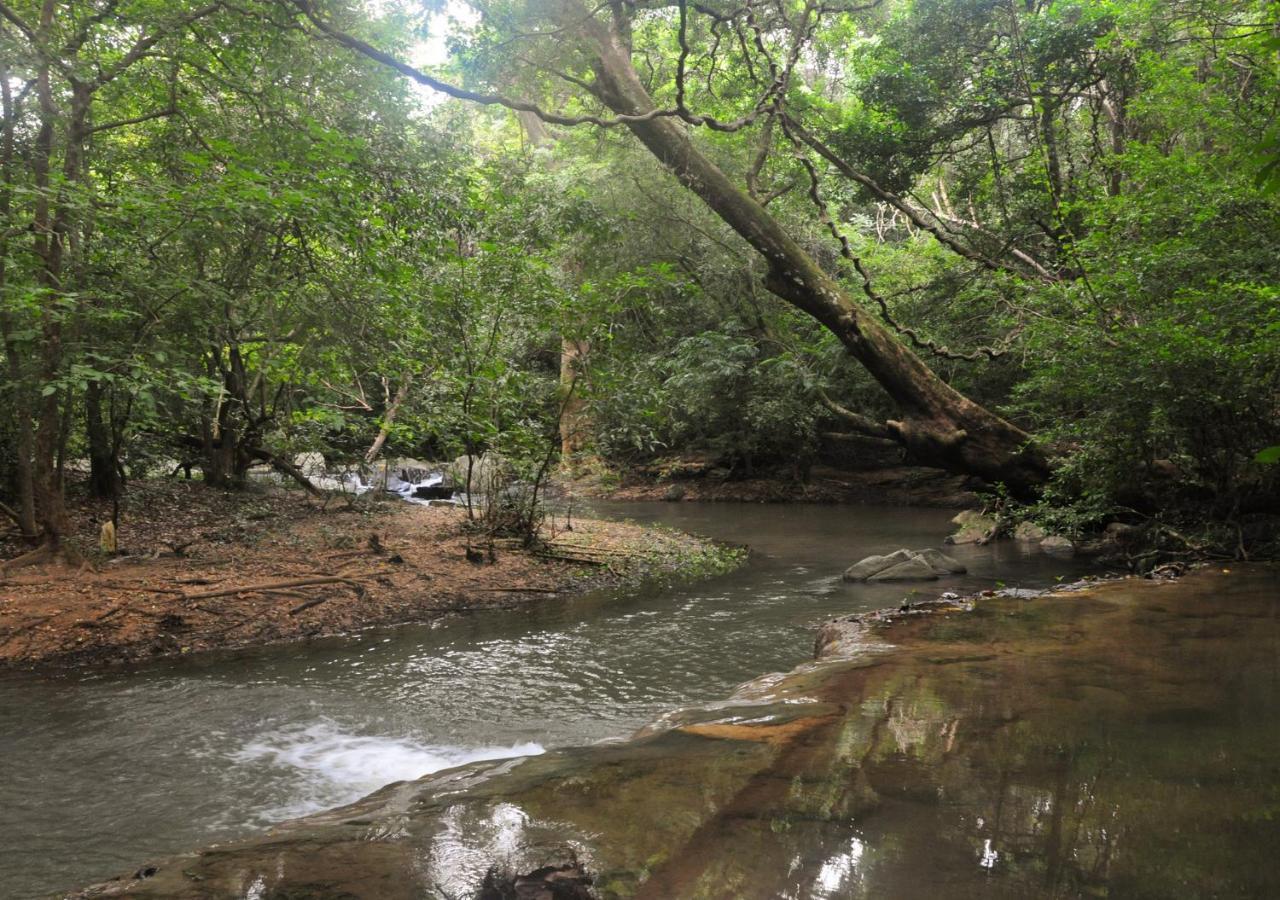 Back Of Beyond - Wild Haven Villa Sigiriya Bagian luar foto