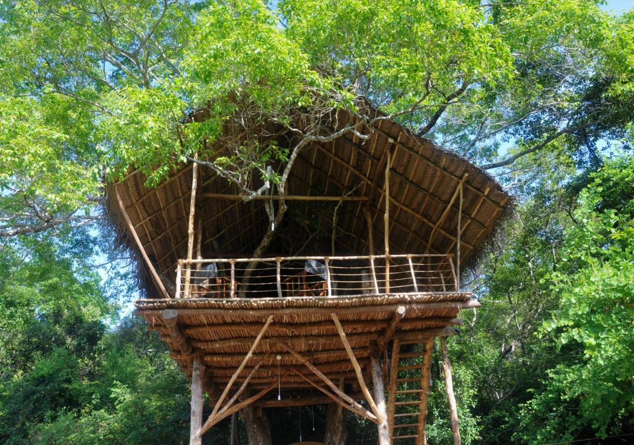 Back Of Beyond - Wild Haven Villa Sigiriya Bagian luar foto