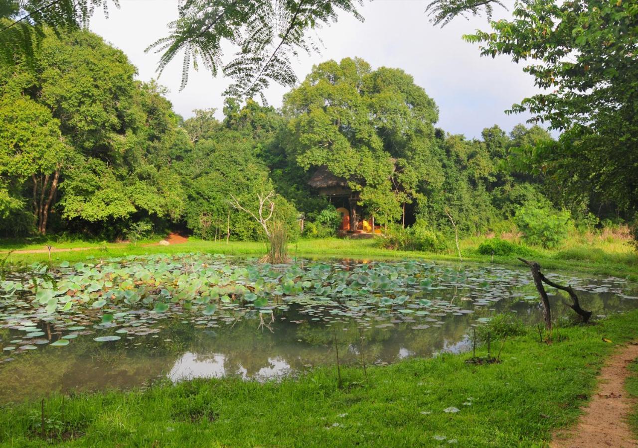 Back Of Beyond - Wild Haven Villa Sigiriya Bagian luar foto