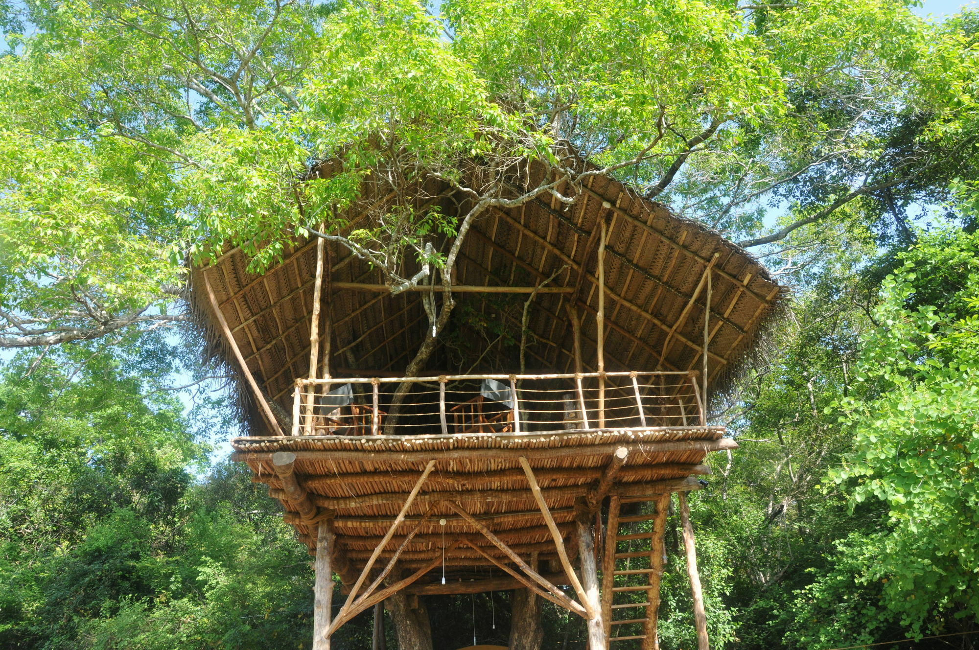 Back Of Beyond - Wild Haven Villa Sigiriya Bagian luar foto