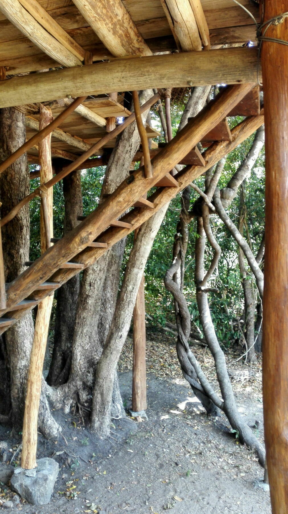 Back Of Beyond - Wild Haven Villa Sigiriya Bagian luar foto