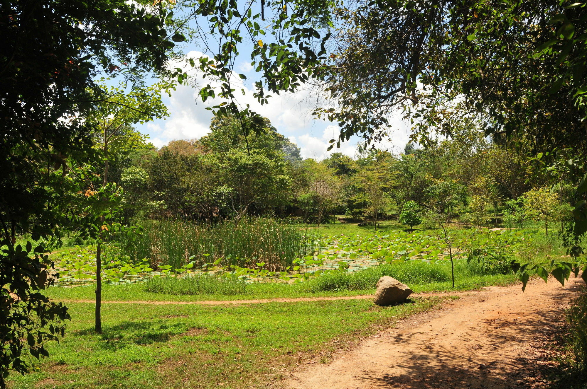 Back Of Beyond - Wild Haven Villa Sigiriya Bagian luar foto