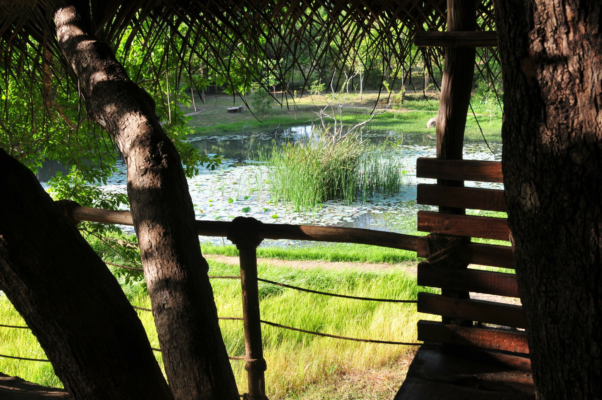 Back Of Beyond - Wild Haven Villa Sigiriya Bagian luar foto